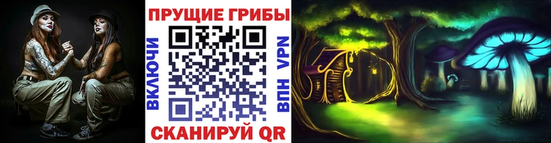 Псилоцибиновые грибы GOLDEN TEACHER  Купить  Евпатория 